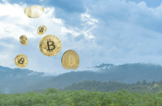 What Is a Crypto Airdrop?